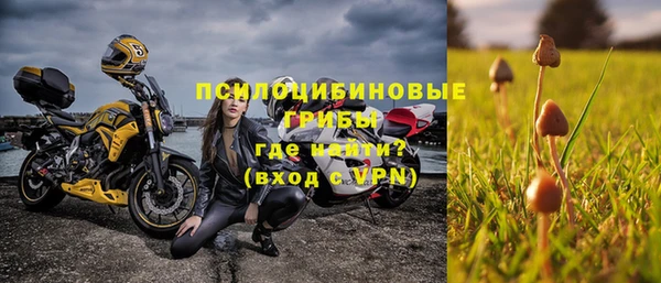 кокаин Белокуриха