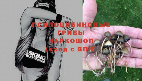 каннабис Богородицк