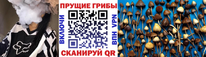 где купить наркоту  Высоковск  Псилоцибиновые грибы Magic Shrooms 